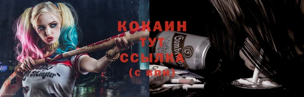 ECSTASY Белокуриха