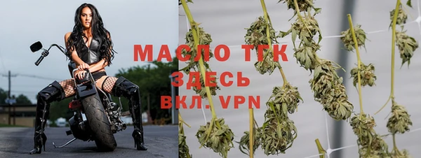 ECSTASY Белокуриха