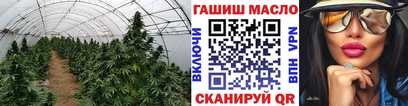 цена Междуреченск ТГК вейп с тгк